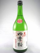 画像: 新酒！特別純米　生酒　四季桜　春　720ml が入荷しました。
