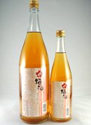画像: 松の寿　マツコト梅酒　720ml と 1800ml が入荷しました。